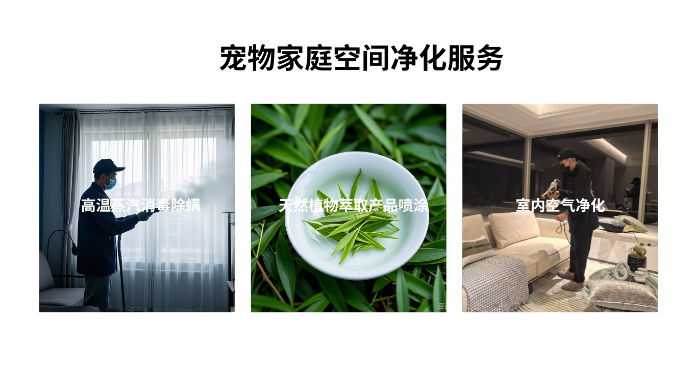 白色艺术课程简洁分享中文Website.png